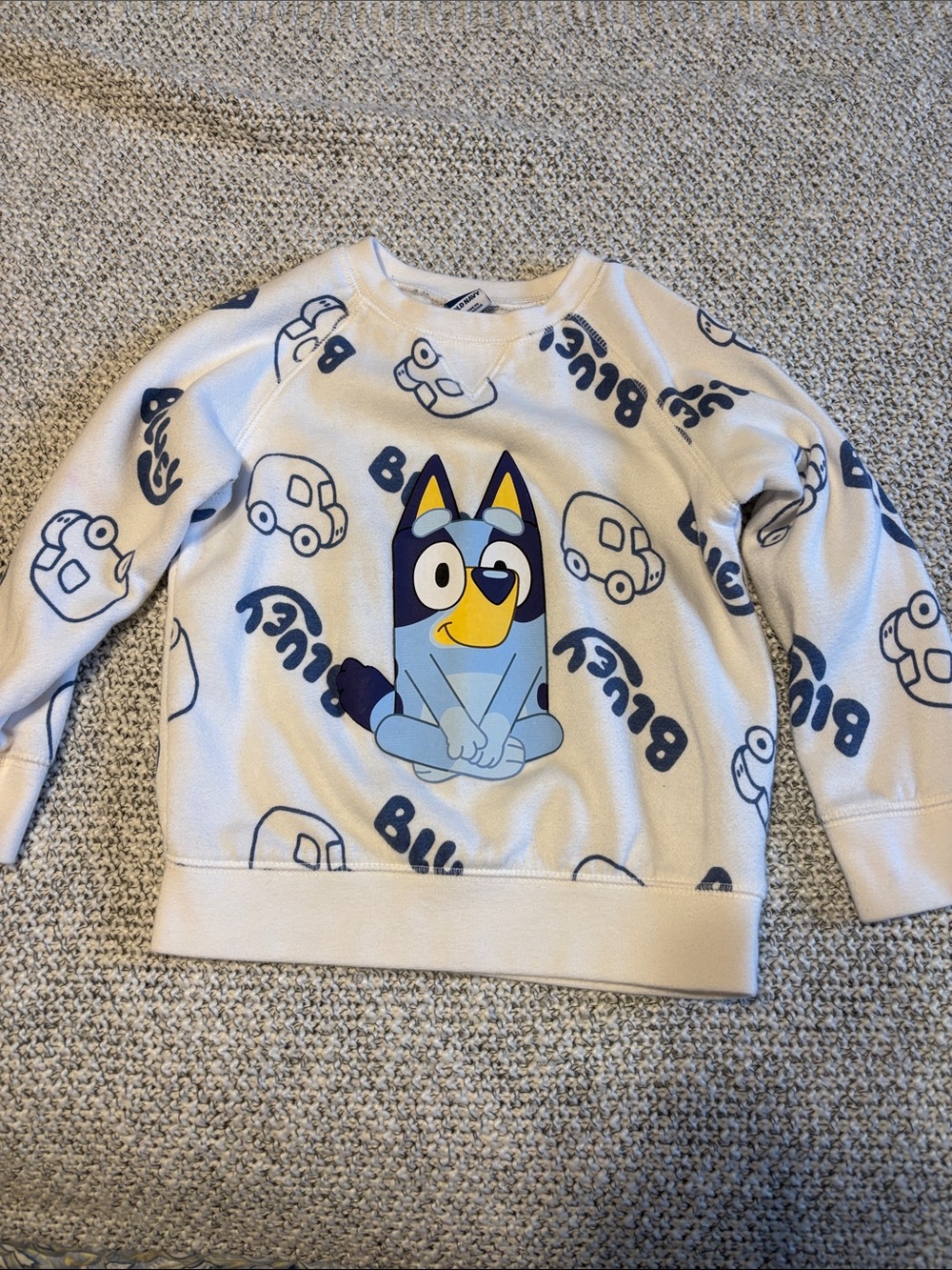 Old Navy Bluey Graphic Crewneck Sweatshirt